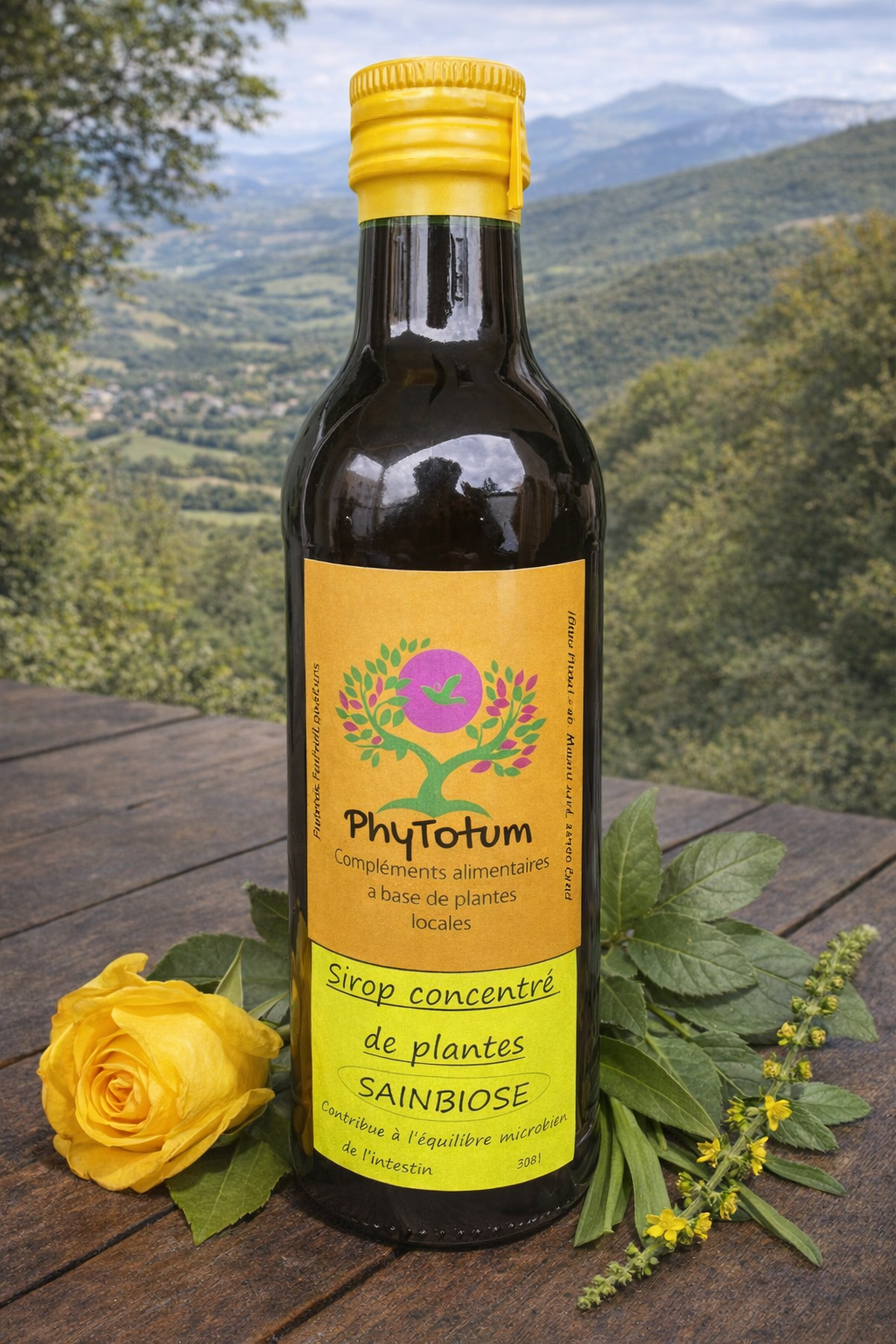 Ail, thym et tanaisie pour l'équilibre microbien – SAINBIOSE